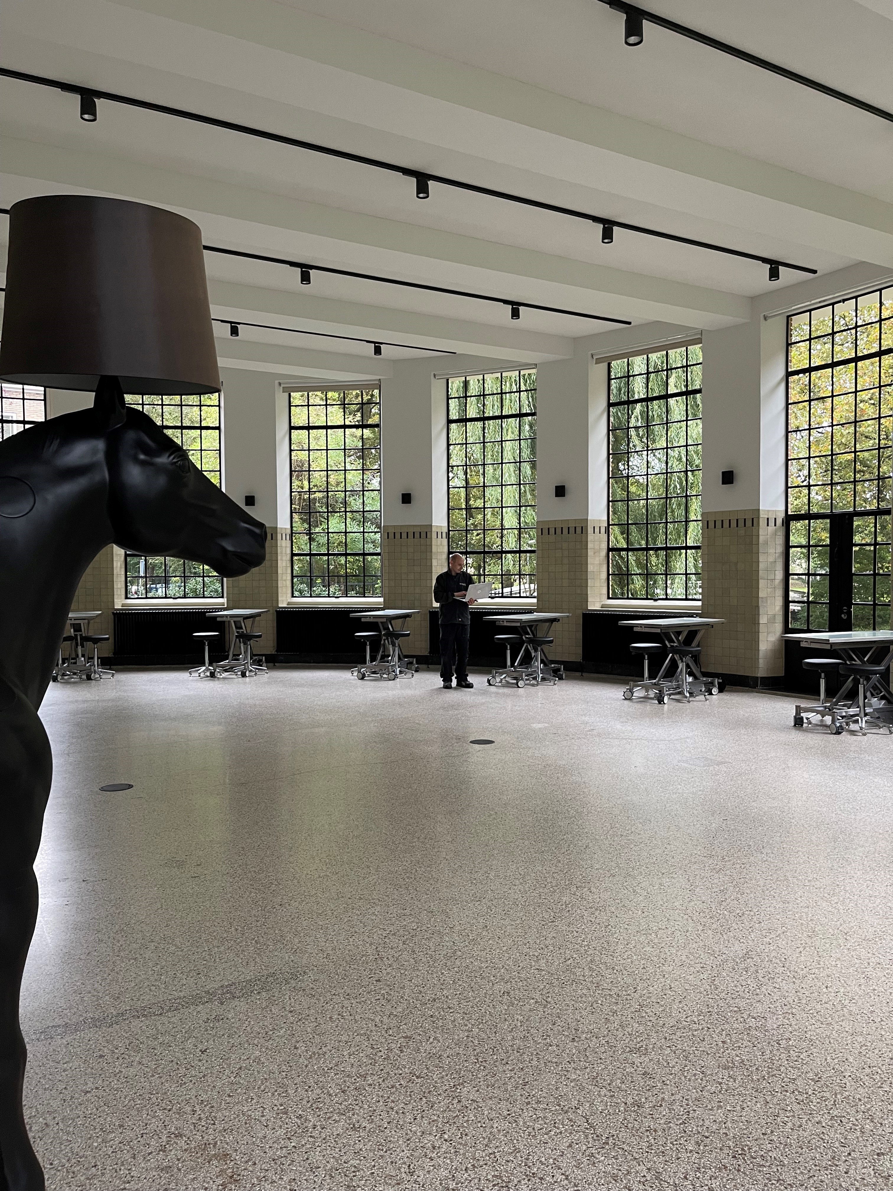 Anatomiegebouw toonzaal.jpg