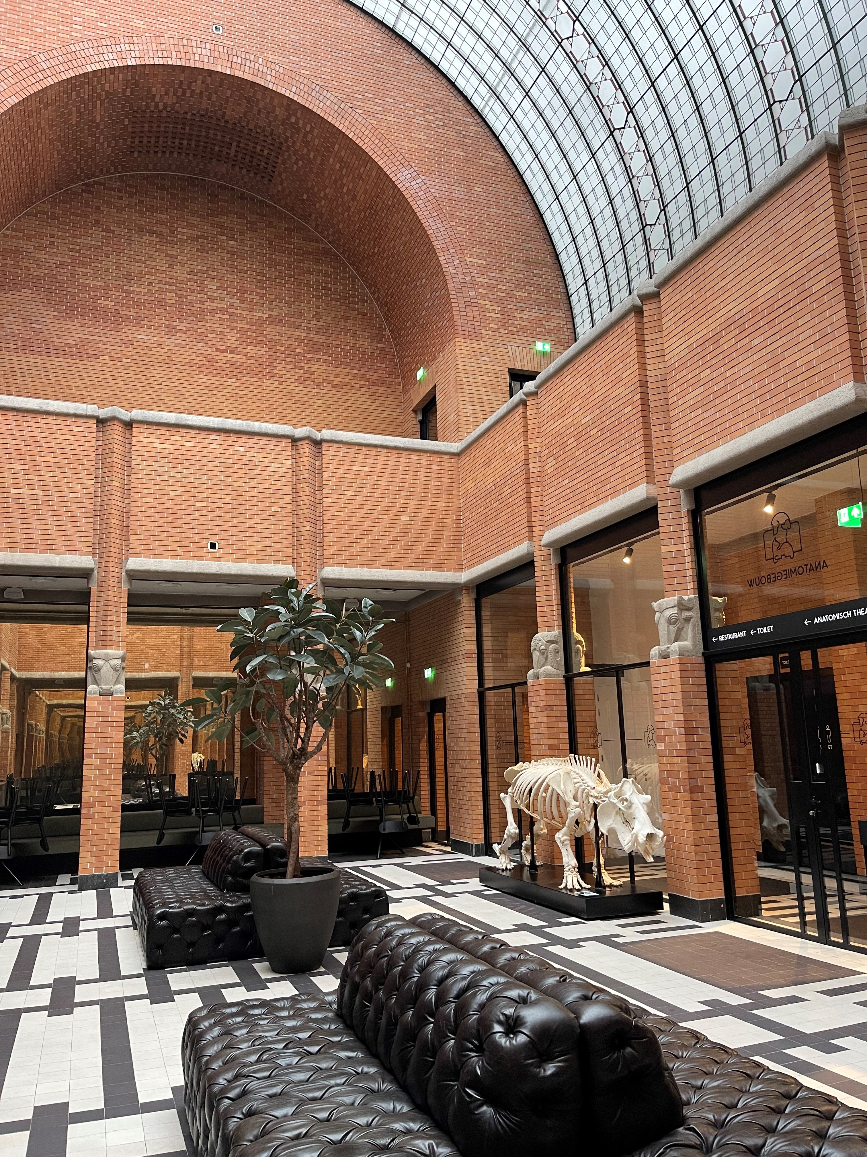 Anatomiegebouw Hal.jpg